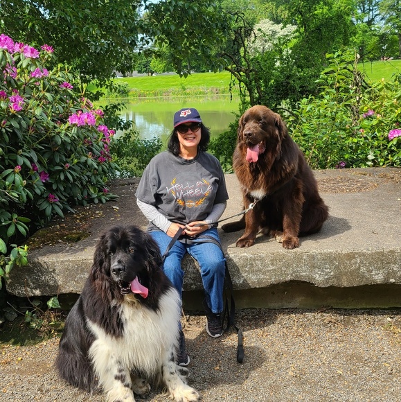 Meet your Posher, Rosa - Picture 1 of 1